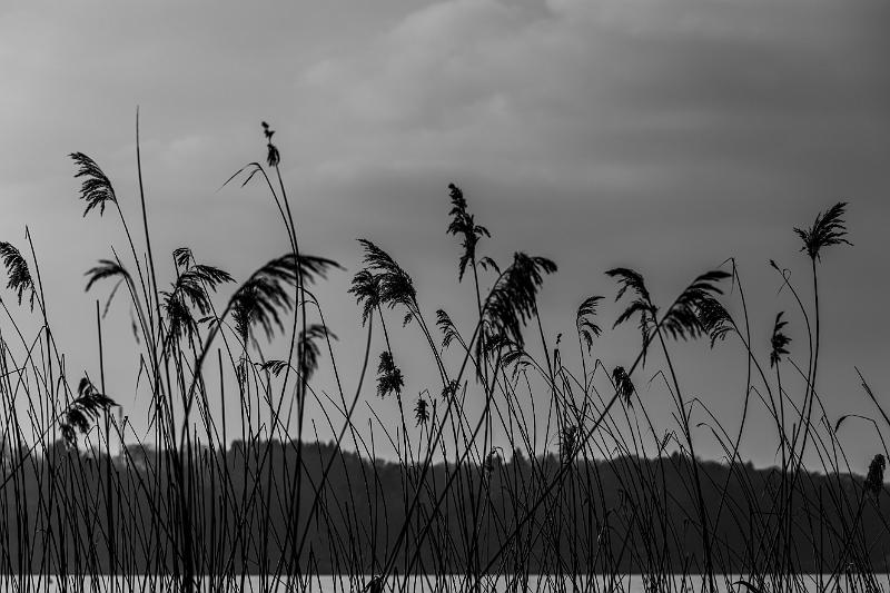 2018_02_24_Lac des Settons (0061).jpg - Lac des Settons (Février 2018)